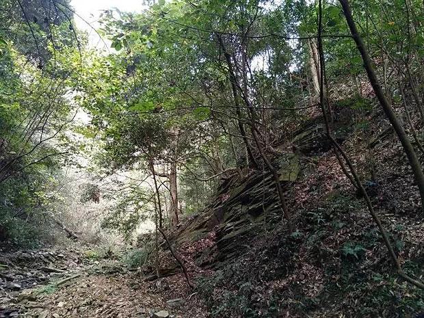 《逆战》元素套装价格介绍